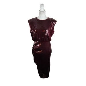 Express Red Wine Sparkly Sequin Cocktail Party Dress